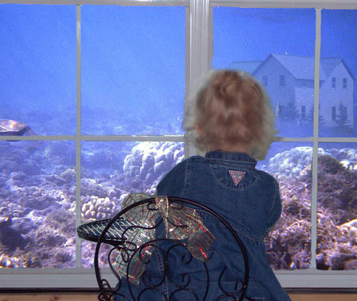 Design Photoshop par Johnsoir pour DesignCrowd (Community Contests) | Design #9066612