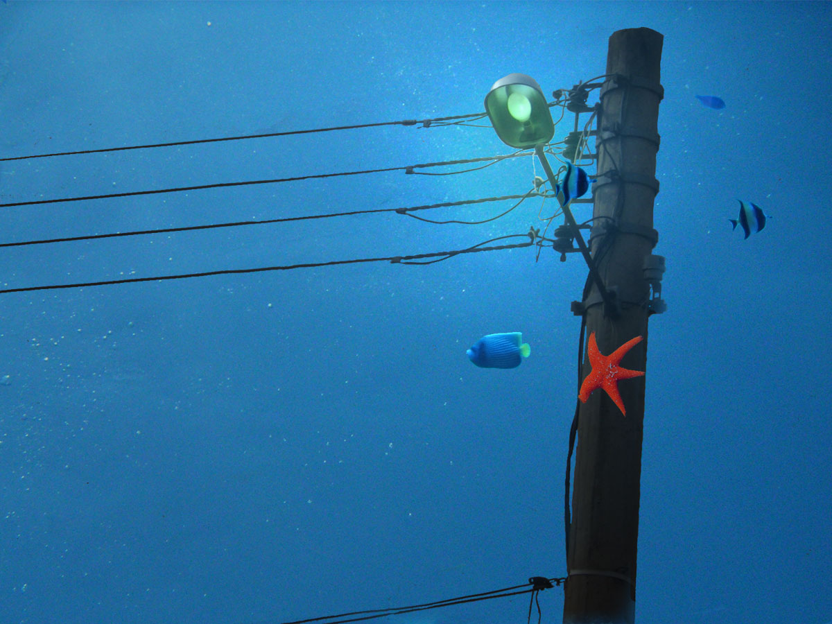 Photoshop Design by Grandma for DesignCrowd (Community Contests) | Design #9066598