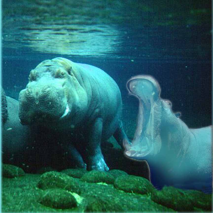 Photoshop Design by sunkan for DesignCrowd (Community Contests) | Design #9068659