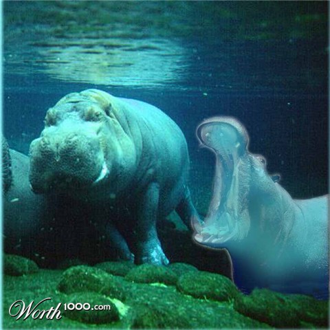 Photoshop Design by sunkan