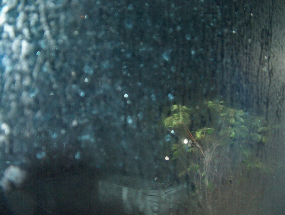 Photography by aurimas for DesignCrowd (Community Contests) | Design #9065989