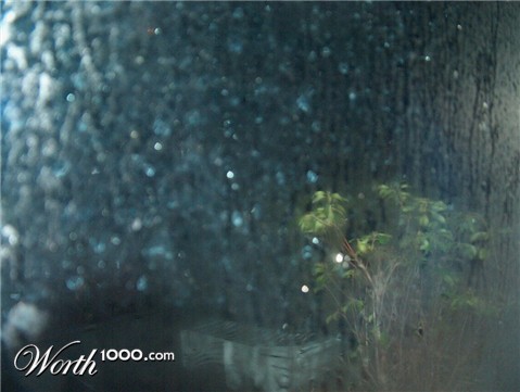 Photography by aurimas