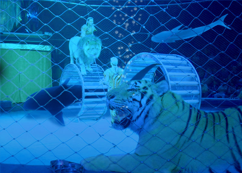 Design Photoshop par nemish pour DesignCrowd (Community Contests) | Design #9066622