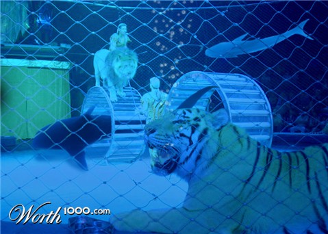 Photoshop Design by nemish