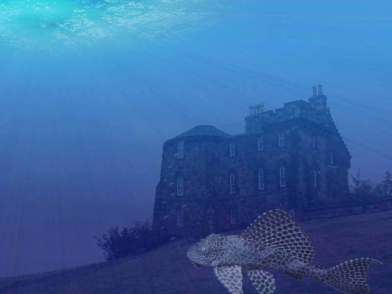 Diseño de Photoshop por TimeTraveler para DesignCrowd (Community Contests) | Diseño #9068713