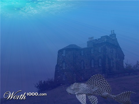 Photoshop Design by TimeTraveler