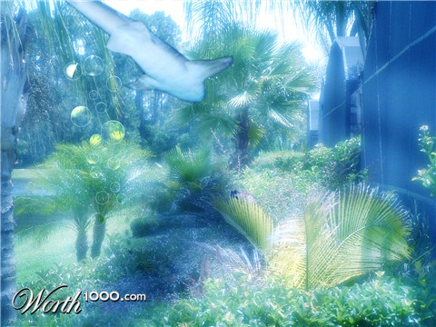 Photoshop Design by glasseyepp