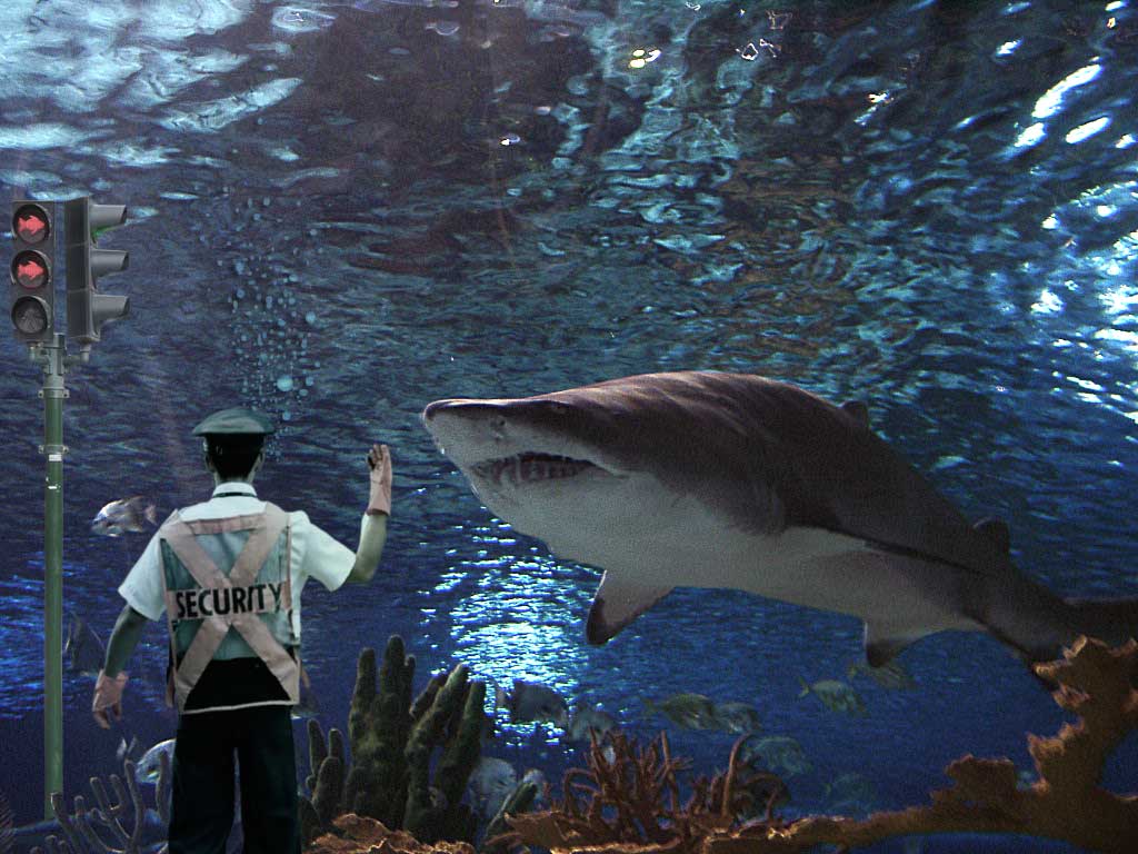 Photoshop-Design von ewarning für DesignCrowd (Community Contests) | Design #9068764