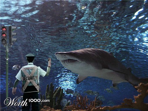 Photoshop Design by ewarning