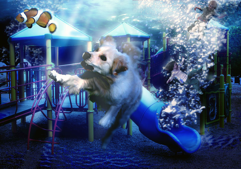 Photoshop Design by AtomicTitan for DesignCrowd (Community Contests) | Design #9068808