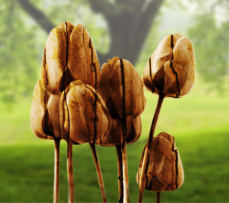 Photoshop Design by theone2Punch for DesignCrowd (Community Contests) | Design #9065481