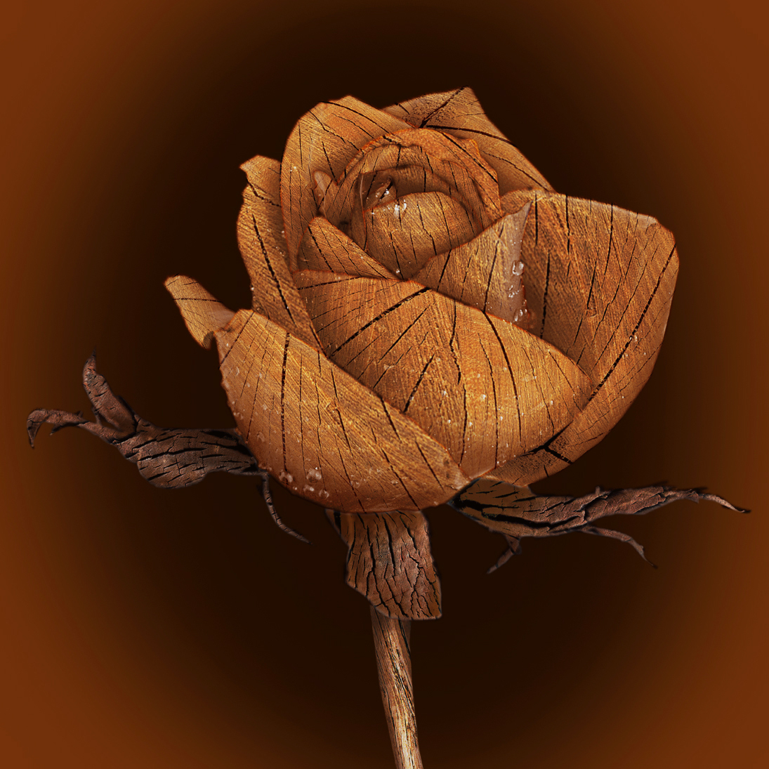 Photoshop Design by Wytske for DesignCrowd (Community Contests) | Design #9065496