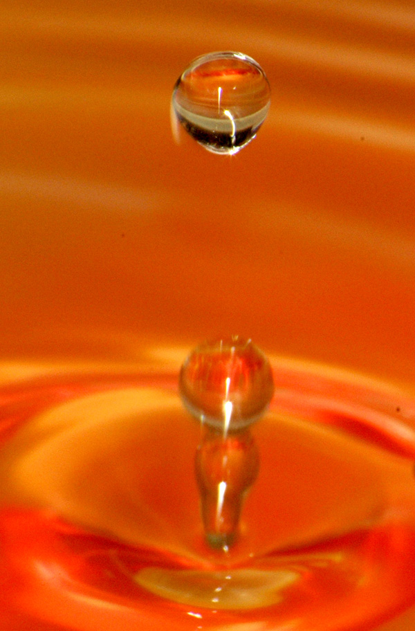 Photography by kimbomac for DesignCrowd (Community Contests) | Design #9065996