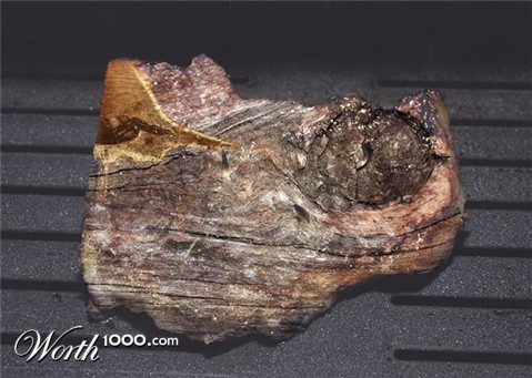 Photoshop Design by uzumakisadako