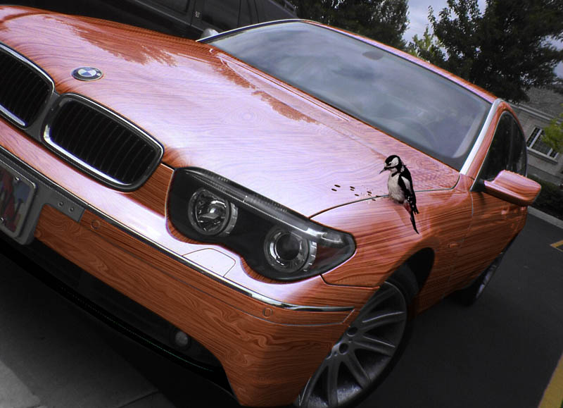 Photoshop Design by AtomicTitan for DesignCrowd (Community Contests) | Design #9065515