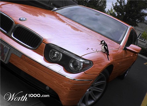 Photoshop Design by AtomicTitan