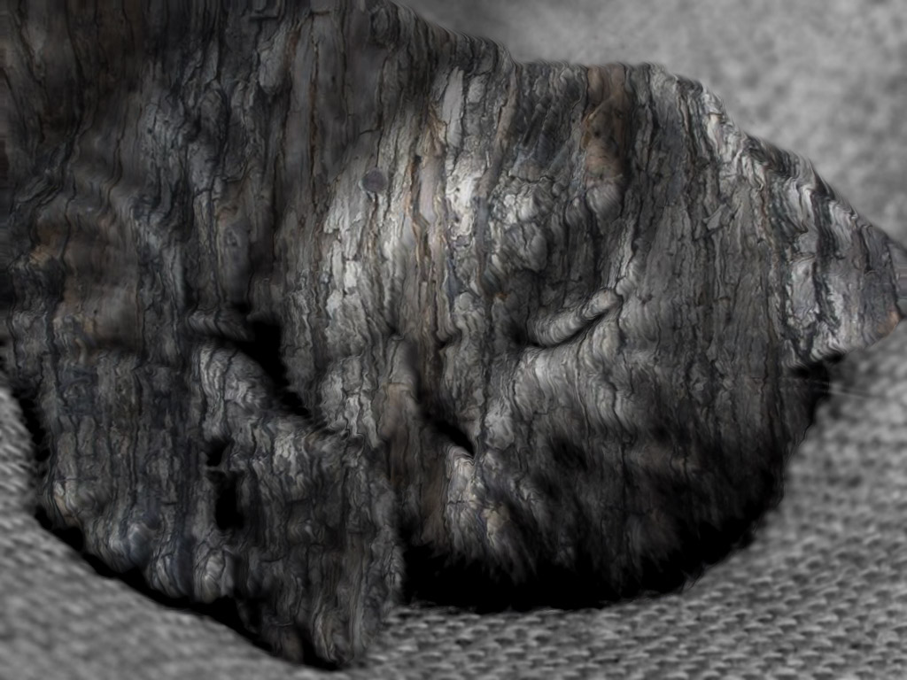 Photoshop Design by ManFromSun for DesignCrowd (Community Contests) | Design #9065537