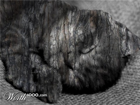 Photoshop Design by ManFromSun