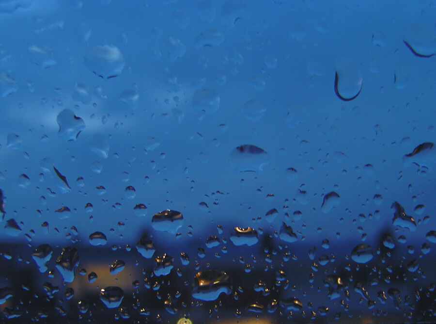 Photography by christiaanbroere for DesignCrowd (Community Contests) | Design #9066046