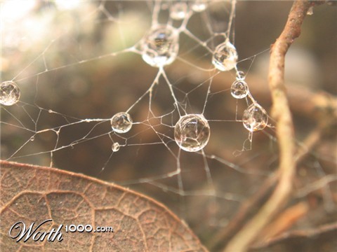 Photography by crazyforrhcp