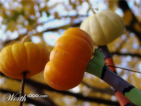 Photography by mmc9496