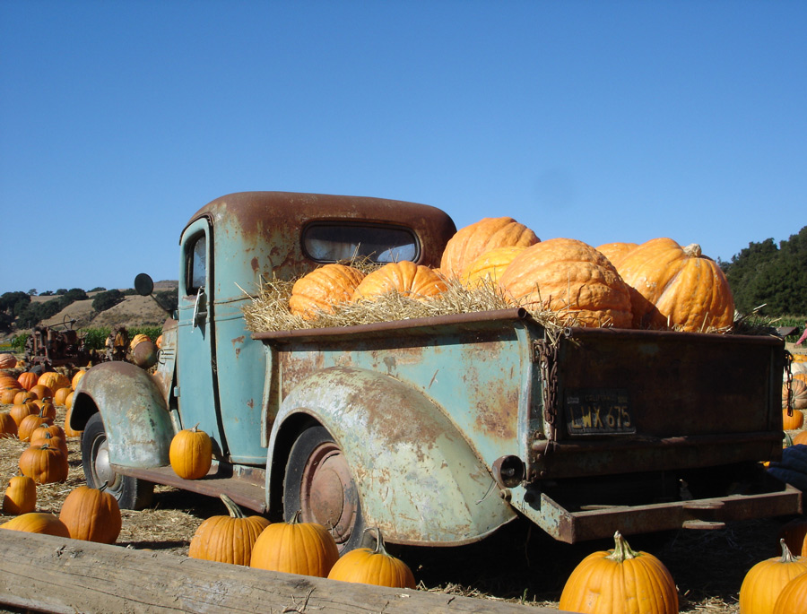 Photography by stayceejae for DesignCrowd (Community Contests) | Design #9070229