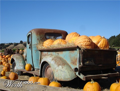 Photography by stayceejae