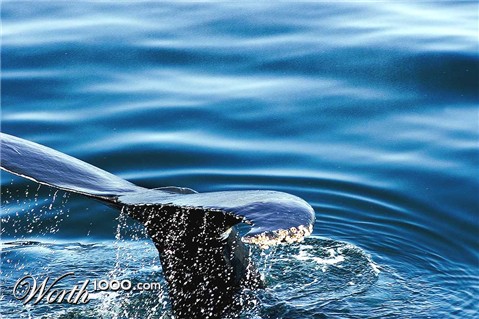 Photography by josephzl