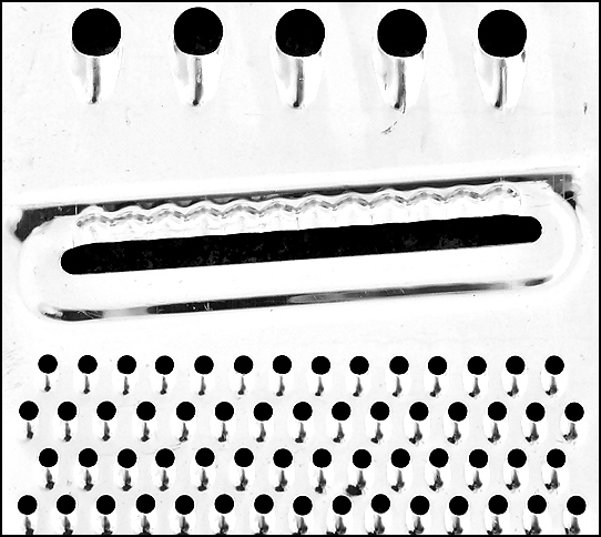 Photographie par KarenC pour DesignCrowd (Community Contests) | Design #9068465