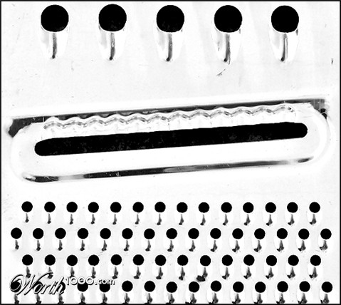 Photography by KarenC