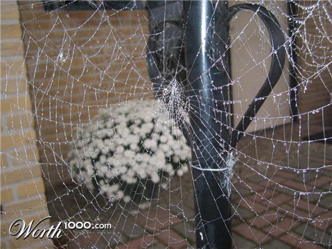 Photography by egonlinden