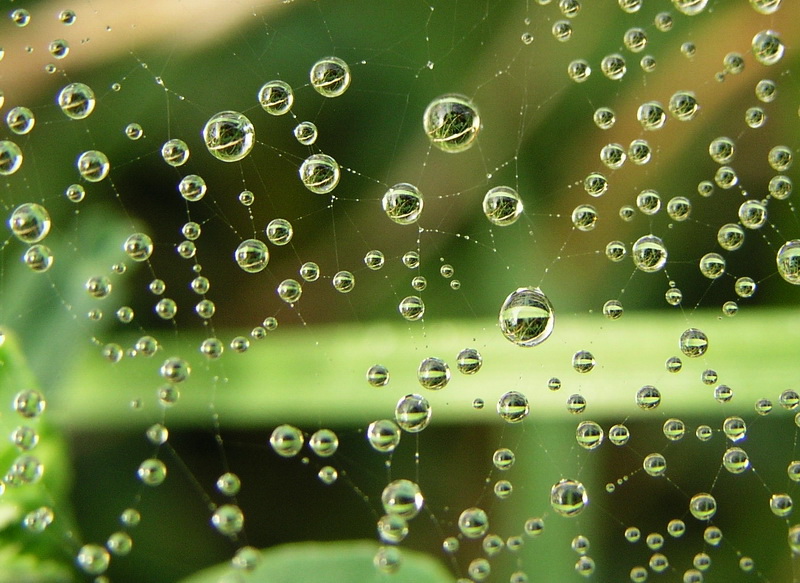 Photography by mzmzmzmz for DesignCrowd (Community Contests) | Design #9066201