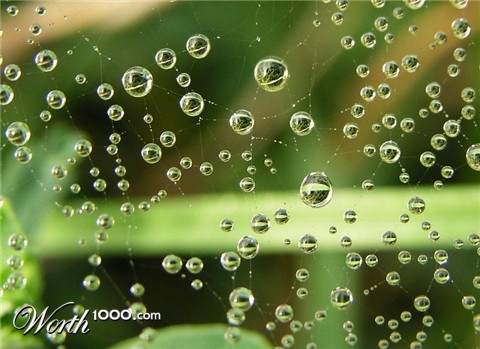 Photography by mzmzmzmz