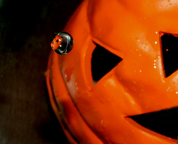 Fotografie von LADPUPMOE für DesignCrowd (Community Contests) | Design #9066239