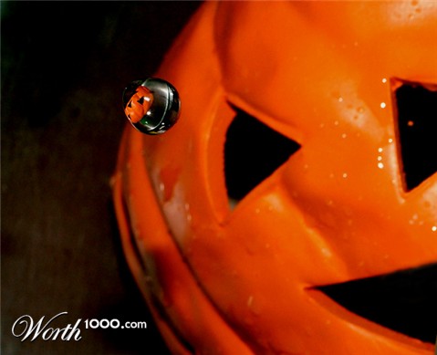 Photography by LADPUPMOE