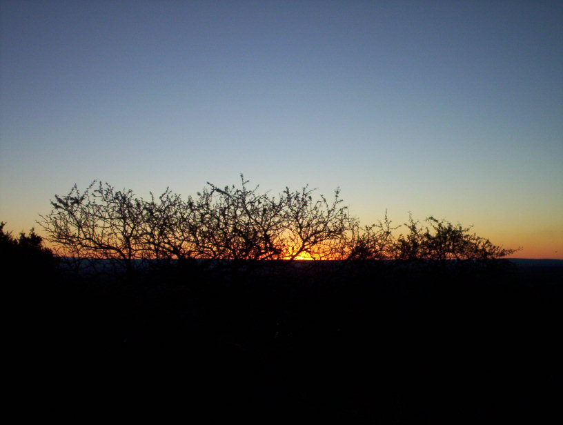 Photography by ThEShaDoW for DesignCrowd (Community Contests) | Design #9067498