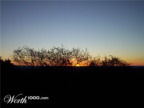 Photography by ThEShaDoW