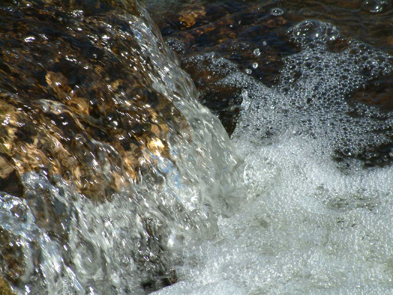 Fotografía por Salster para DesignCrowd (Community Contests) | Diseño #9066188