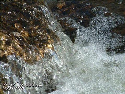 Photography by Salster