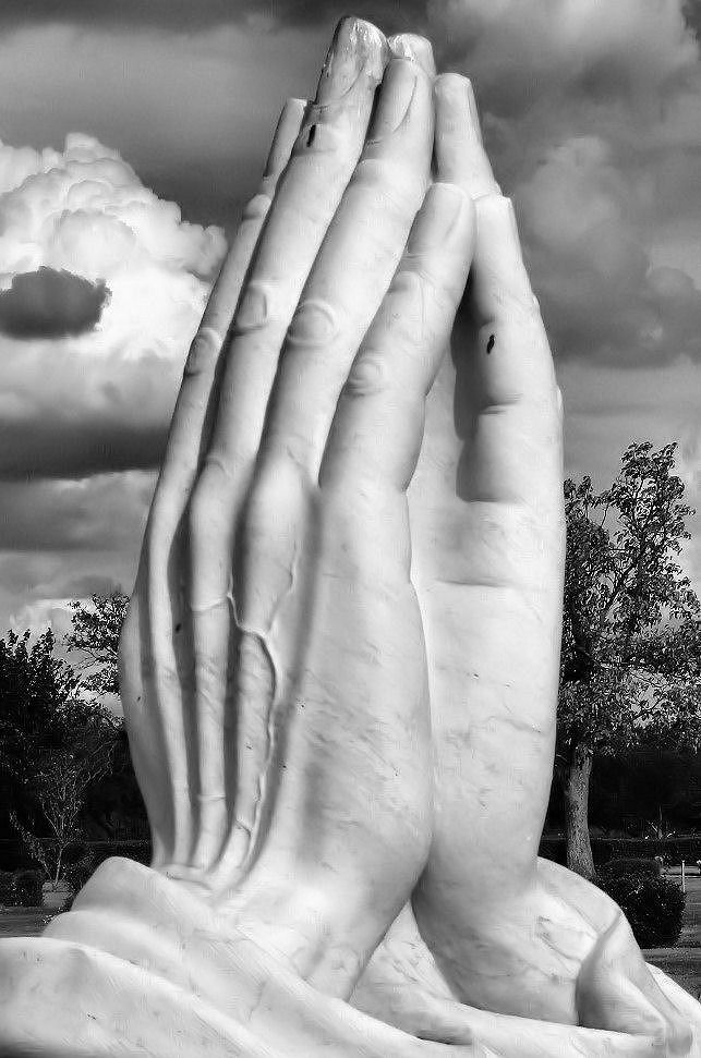 Photographie par Suziecuchon pour DesignCrowd (Community Contests) | Design #9067508