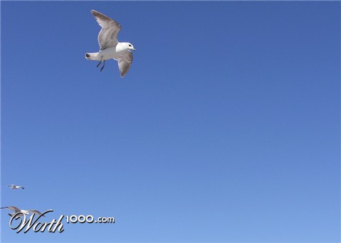 Photography by aih