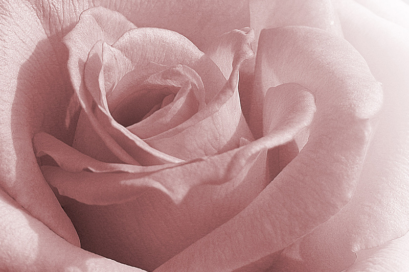 Photographie par Marthese pour DesignCrowd (Community Contests) | Design #9076447