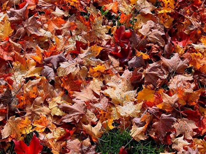 Photography by Kirsilouis for DesignCrowd (Community Contests) | Design #9076463