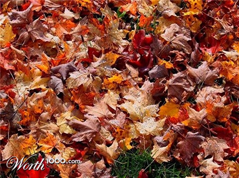 Photography by Kirsilouis