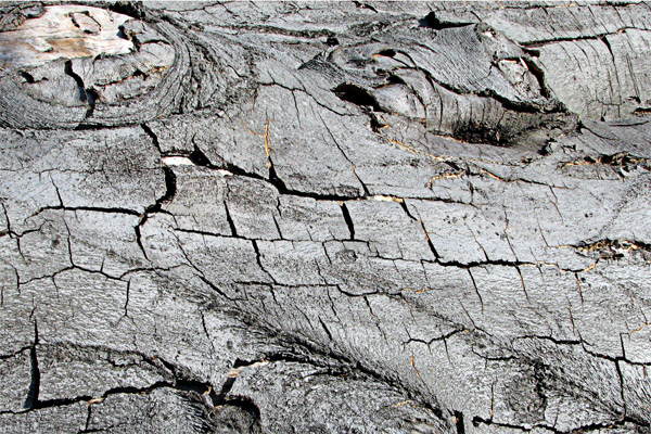 Photography by bertel for DesignCrowd (Community Contests) | Design #9076454