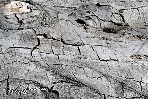 Photography by bertel