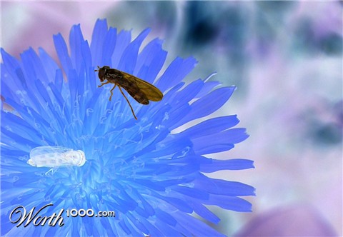 Photography by Samogitan