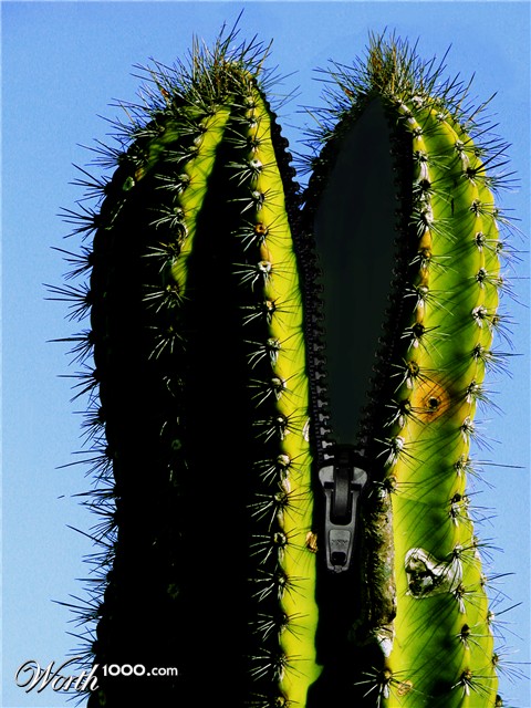 Photoshop Design by annette101