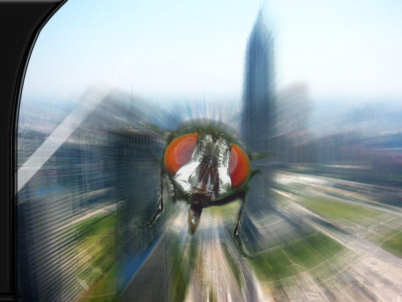 Photoshop-Design von Fareel für DesignCrowd (Community Contests) | Design #9066536