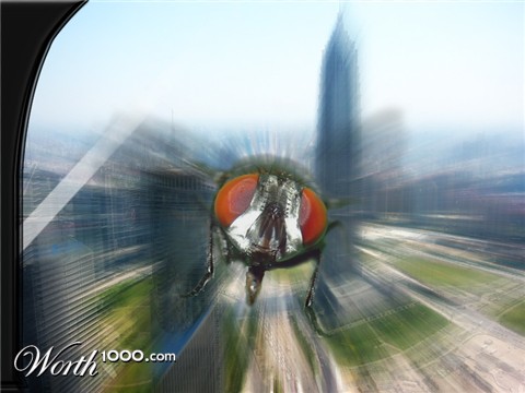 Photoshop Design by Fareel